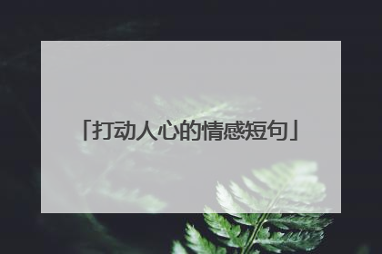 打动人心的情感短句