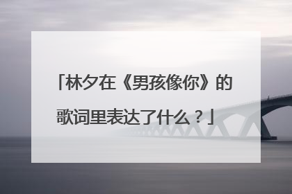 林夕在《男孩像你》的歌词里表达了什么？