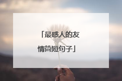 最感人的友情简短句子