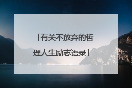 有关不放弃的哲理人生励志语录