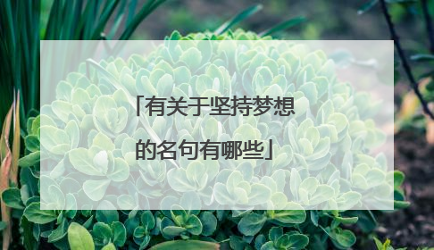 有关于坚持梦想的名句有哪些