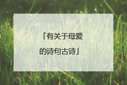 有关于母爱的诗句古诗