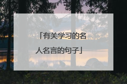 有关学习的名人名言的句子