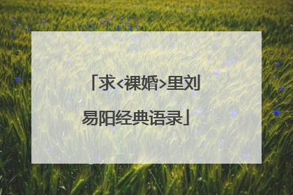 求<裸婚>里刘易阳经典语录