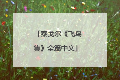 泰戈尔《飞鸟集》全篇中文