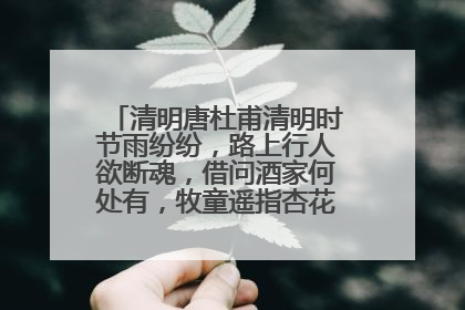 清明唐杜甫清明时节雨纷纷，路上行人欲断魂，借问酒家何处有，牧童遥指杏花村的意思是？