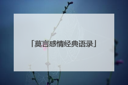 莫言感情经典语录