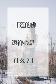 莲的佛语禅心是什么？