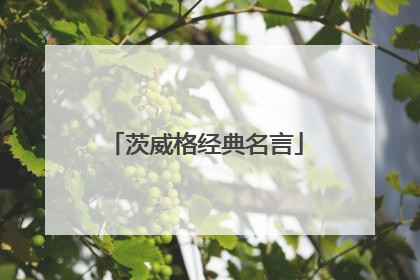 茨威格经典名言