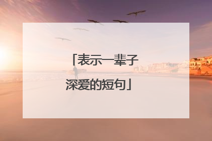 表示一辈子深爱的短句