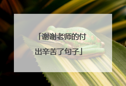 谢谢老师的付出辛苦了句子