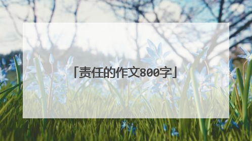 责任的作文800字