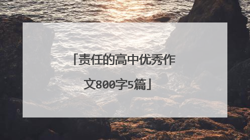 责任的高中优秀作文800字5篇