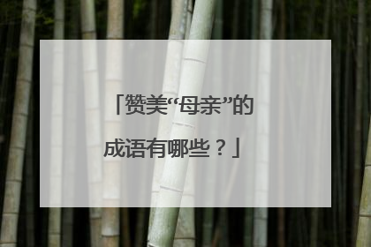 赞美“母亲”的成语有哪些？