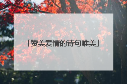 赞美爱情的诗句唯美