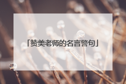 赞美老师的名言警句