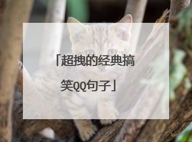 超拽的经典搞笑QQ句子