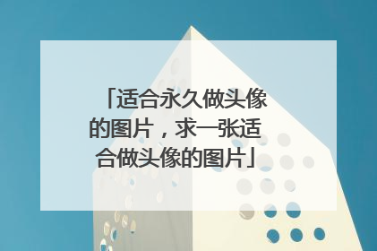 适合永久做头像的图片，求一张适合做头像的图片