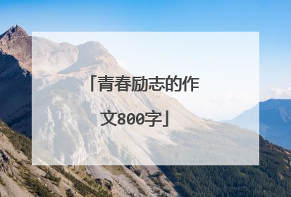 青春励志的作文800字