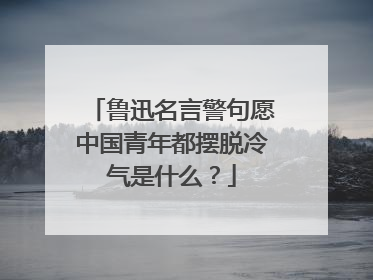 鲁迅名言警句愿中国青年都摆脱冷气是什么？