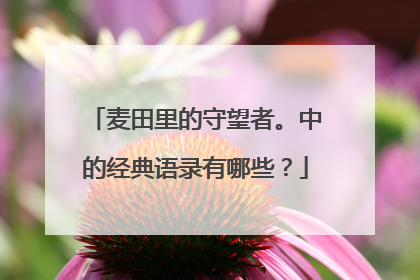 麦田里的守望者。中的经典语录有哪些？