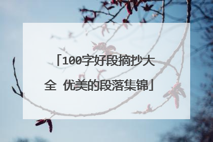 100字好段摘抄大全 优美的段落集锦