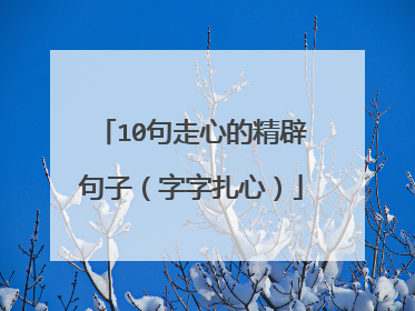 10句走心的精辟句子（字字扎心）