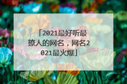 2021最好听最撩人的网名，网名2021最火爆