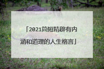 2021简短精辟有内涵和道理的人生格言