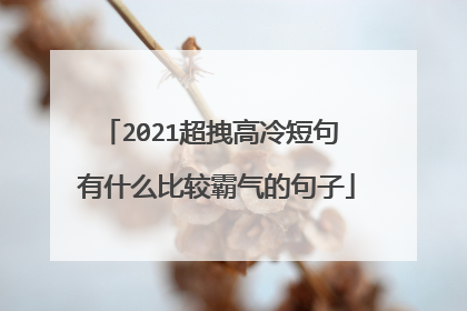 2021超拽高冷短句 有什么比较霸气的句子