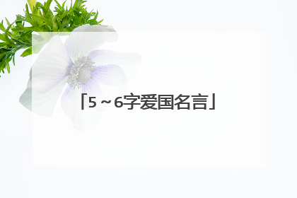 5～6字爱国名言