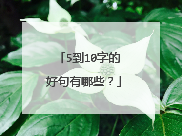 5到10字的好句有哪些？