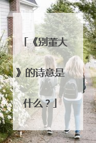 《别董大》的诗意是什么？