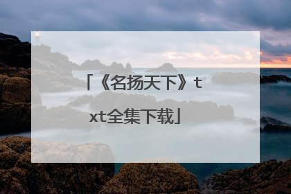 《名扬天下》txt全集下载