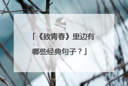 《致青春》里边有哪些经典句子？