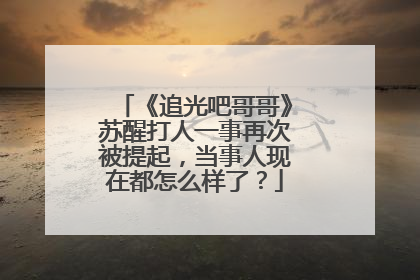 《追光吧哥哥》苏醒打人一事再次被提起，当事人现在都怎么样了？