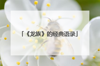 《龙族》的经典语录