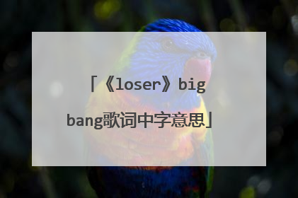 《loser》bigbang歌词中字意思