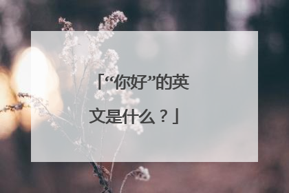 “你好”的英文是什么？