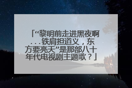 “黎明前走进黑夜啊...铁肩担道义，东方要亮天”是那部八十年代电视剧主题歌？