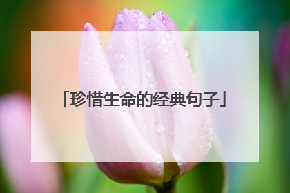 珍惜生命的经典句子