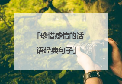 珍惜感情的话语经典句子