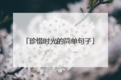 珍惜时光的简单句子