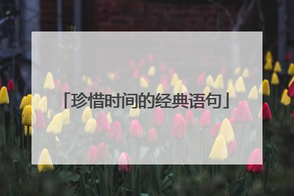 珍惜时间的经典语句