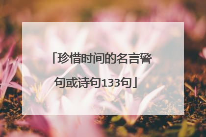 珍惜时间的名言警句或诗句133句