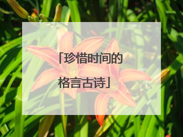 珍惜时间的格言古诗