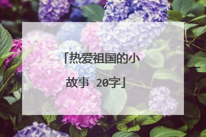 热爱祖国的小故事 20字