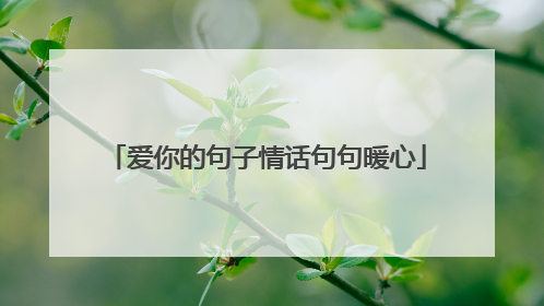 爱你的句子情话句句暖心