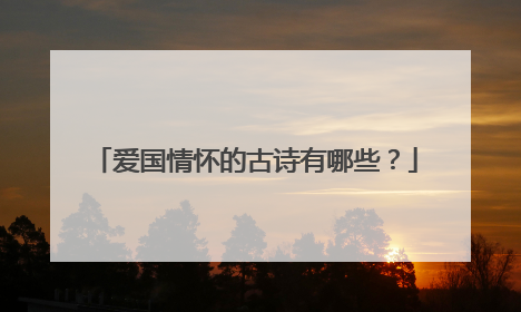 爱国情怀的古诗有哪些？