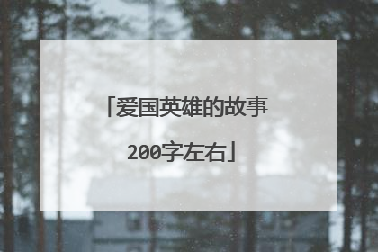 爱国英雄的故事 200字左右